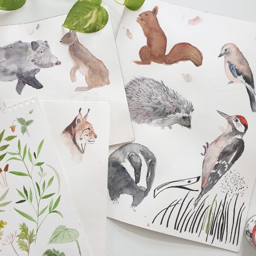 Duży Koc / Narzuta z wypełnieniem 145×200 cm – Woodland. Wzór leśne życie. Leśnie zwierzęta na ciemno zielonym tle. Z drugiej strony pikowany velvet w kolorze butelkowej zieleni.